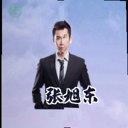 张旭东